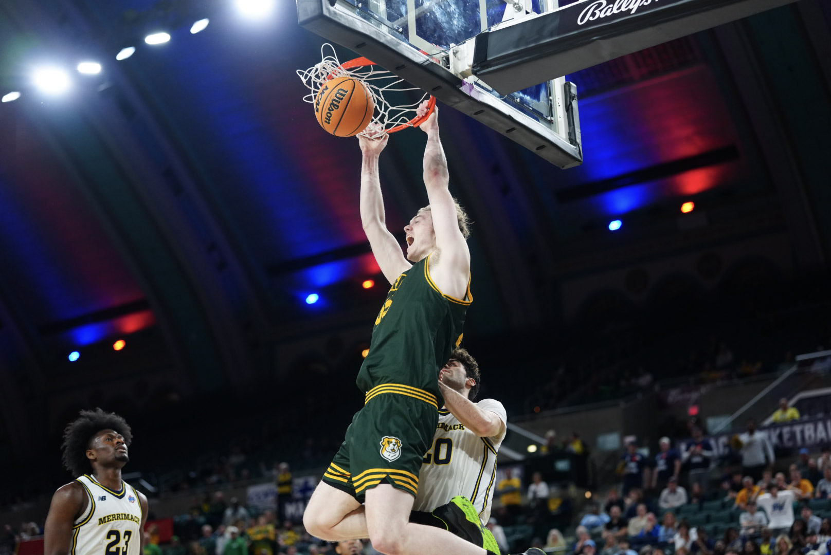 Pod naše koše prichádza skutočný obor. Center Riley Mulvey mieri do Lučenca
